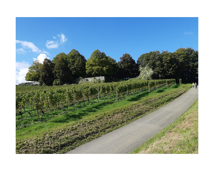Im Herbst 2019 (6)
